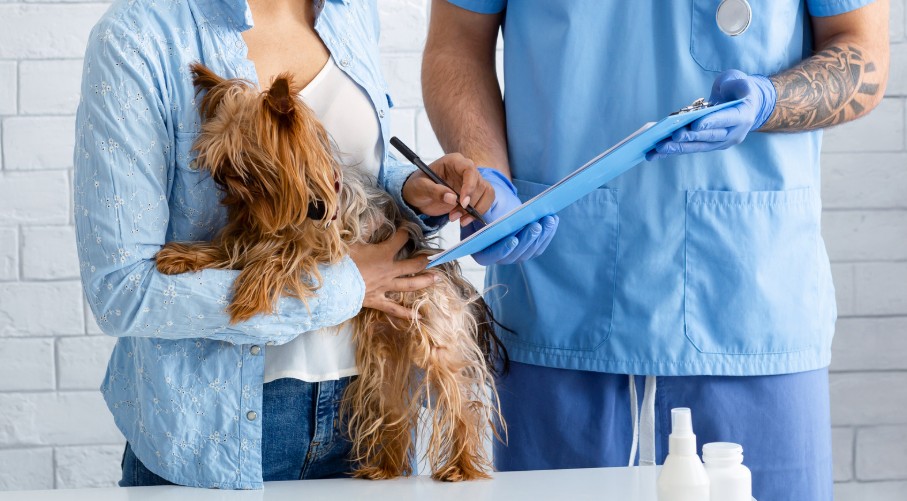 ביטוח חיות מחמד של הפניקס